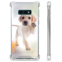 Samsung Galaxy S10e Hybrid Case - Dog