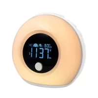 5 Watt Adjustable Alarm Clock Musical Sleep Lamp USB Color BT Speaker