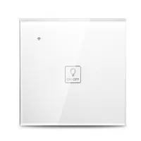 Wi-Fi Smart Wall Touch Light Switch Glass Panel Voice Control Compatible with Alexa Google Home