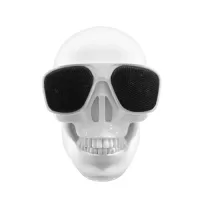 Plastic Skeleton Metallic Wireless Shape BT Speaker