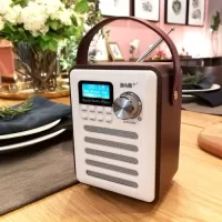 DAB/DAB+ Digital Radio Wireless Bluetooth Speakers MP3 Player AUX IN TF U Disk Reading FM Radio with Portable Handle Alarm Clock Setting