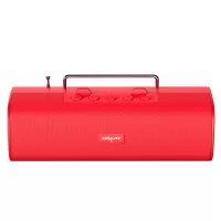 ZEALOT S40 Stereo Wireless Speaker with FM Broadcast Support FM TF Card U Disk Portable Bluetooth Speaker - Red