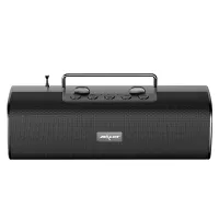ZEALOT S40 Stereo Wireless Speaker with FM Broadcast Support FM TF Card U Disk Portable Bluetooth Speaker - Black