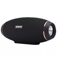 HOPESTAR H20 Portable Wireless Bluetooth Speaker 30W Waterproof Speaker with Power Bank Function - Black