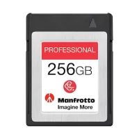 Professional 256GB, PCIe 3.0, CFexpress™ Type B Memory Card