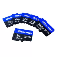 iStorage IS-MSD-1-256 memory card 256 GB MicroSDXC UHS-III Class 10