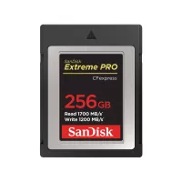 SanDisk SDCFE-256G-GN4NN memory card 256 GB CFexpress